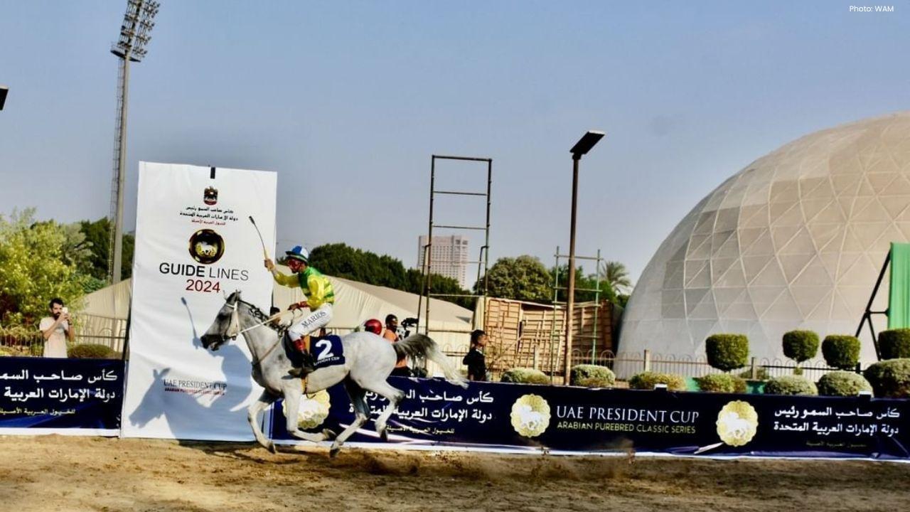 UAE President's Cup for Arabian Horses Kicks Off in Egypt