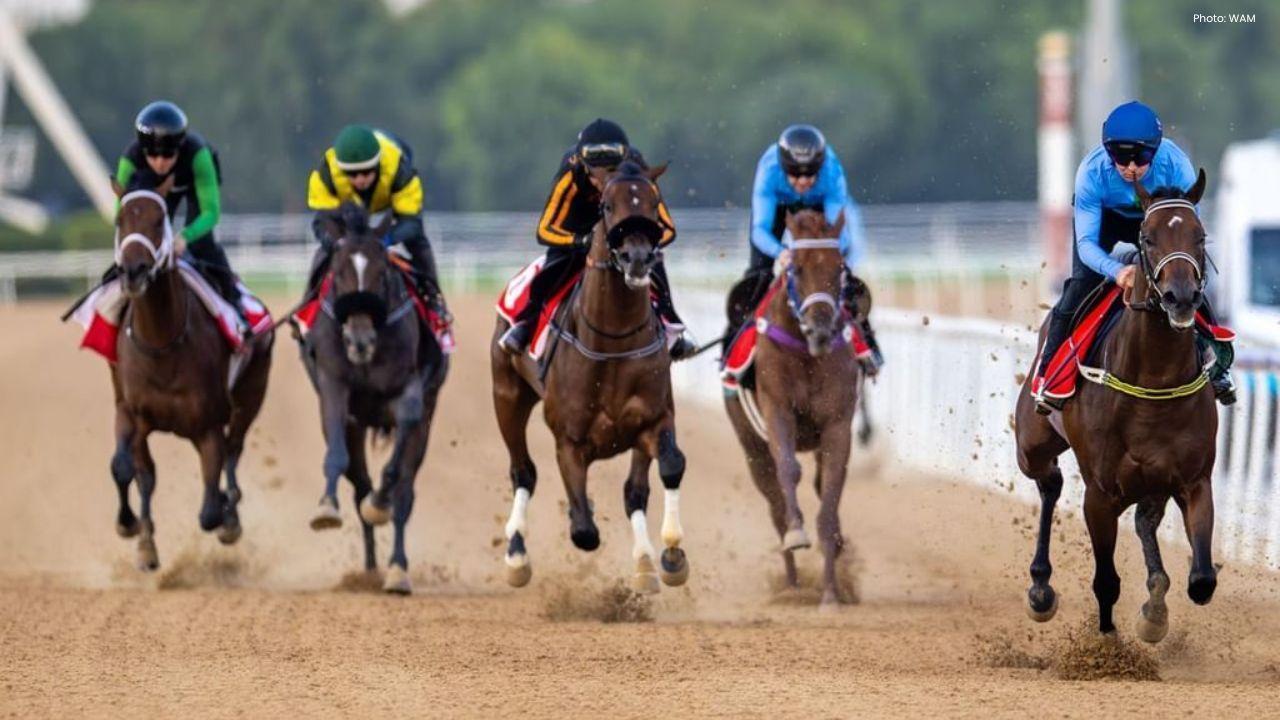 48 Horses Take Part in Seventh Trial Race at Meydan
