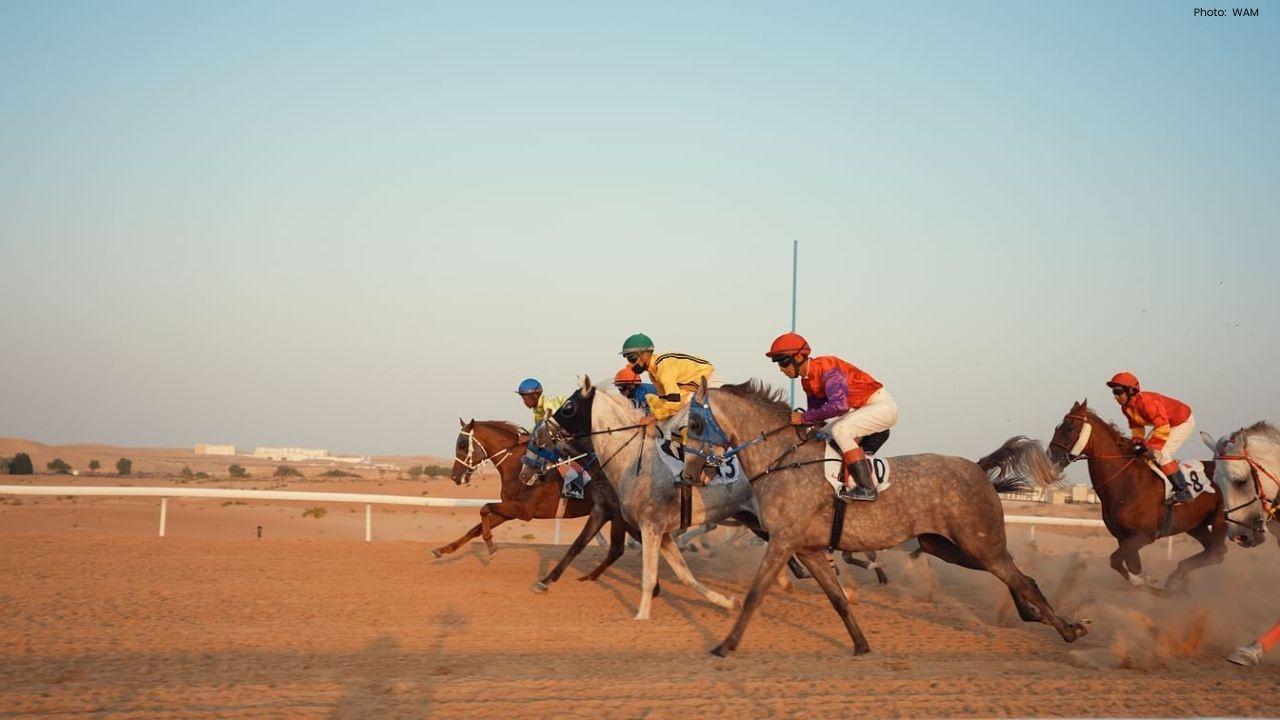 Liwa Sports Club Celebrates Victories in Arabian Horse Racing