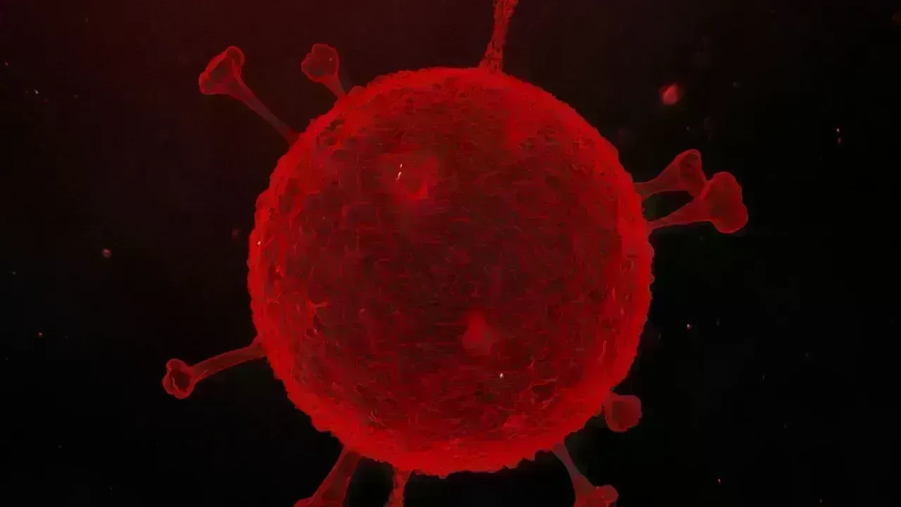 Norovirus Outbreak Affects 103 Students in Foshan School