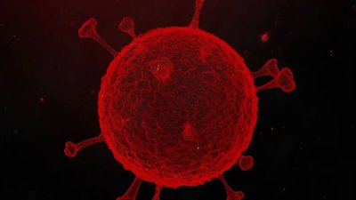 Norovirus Outbreak Affects 103 Students in Foshan School