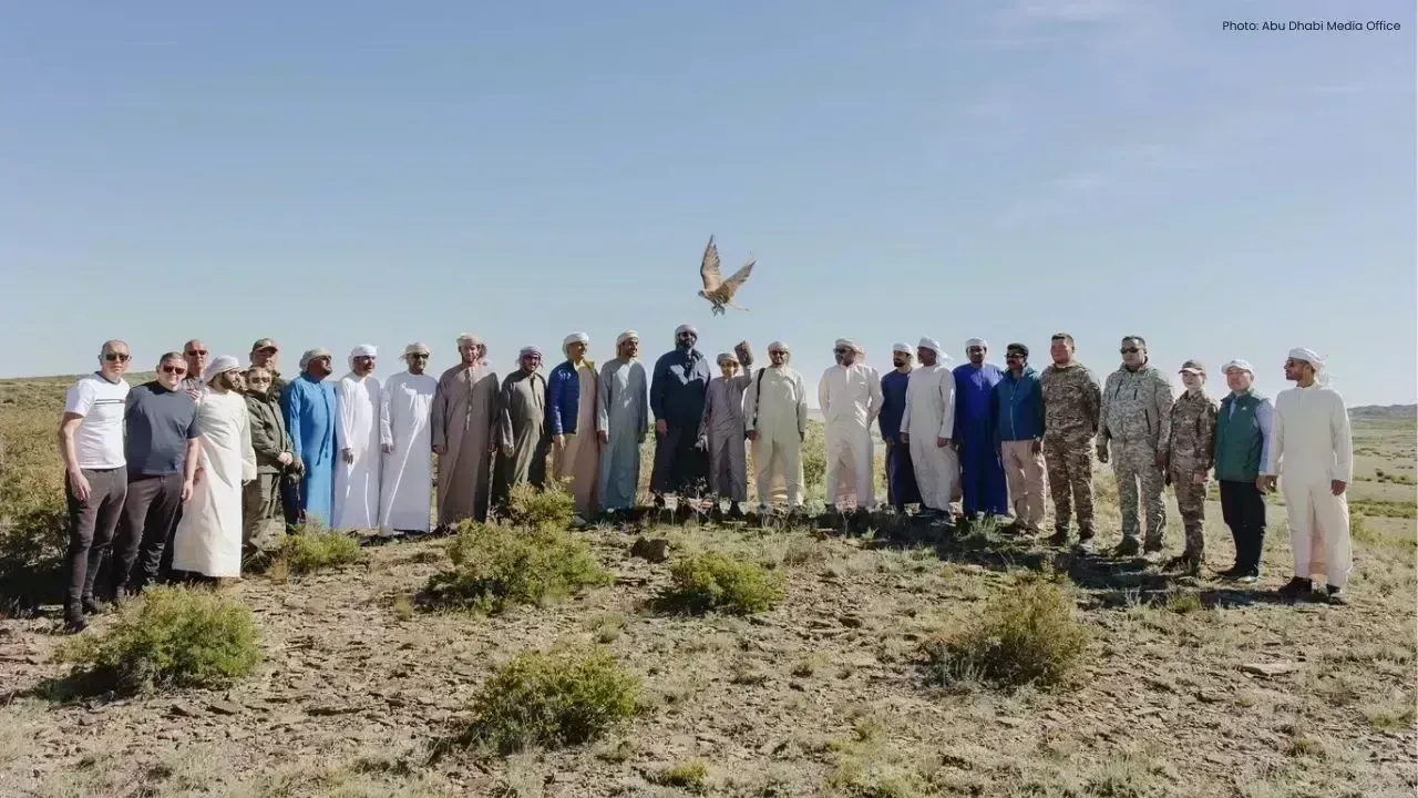 UAE Falcon Conservation Programme Confirms Siberia Breeding Success