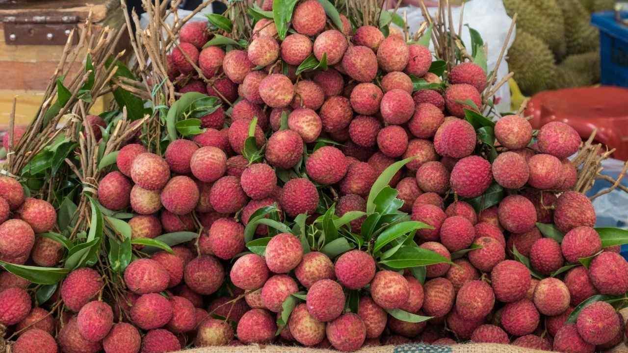 India Exports Premium Rose-Scented Litchis to Qatar and UAE
