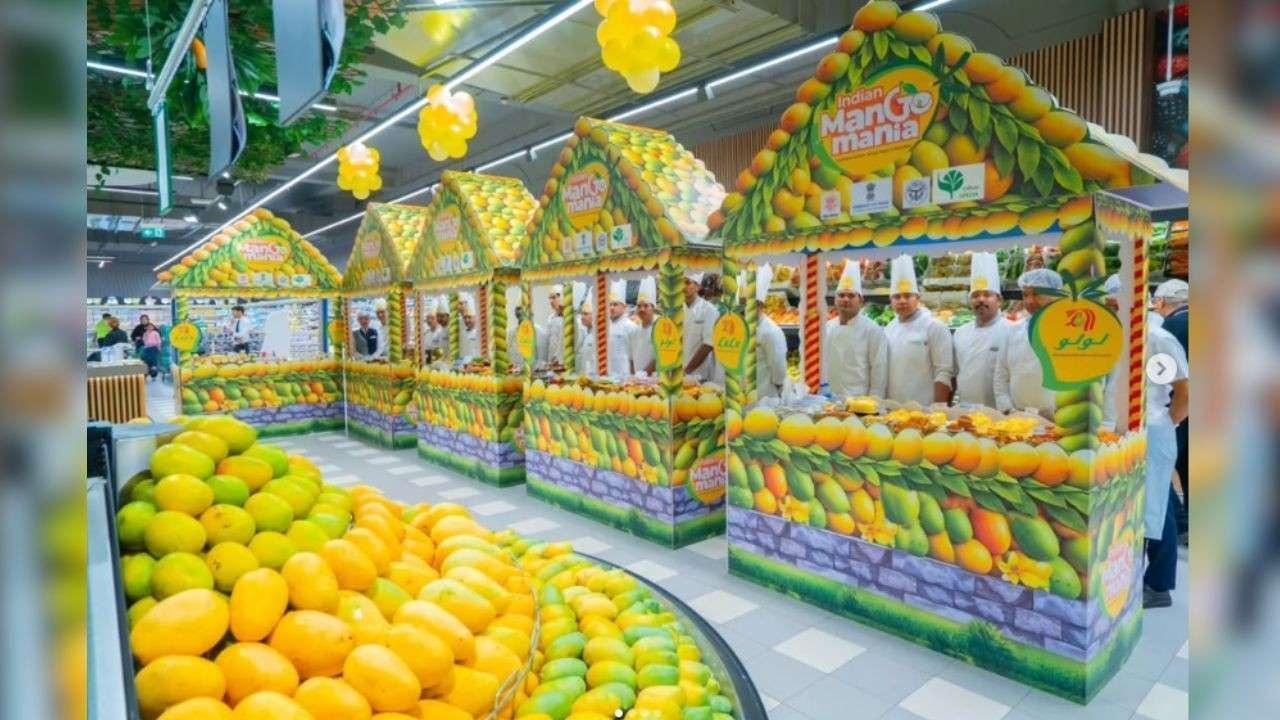 Indian Mango Mania 2025 Launched in Abu Dhabi