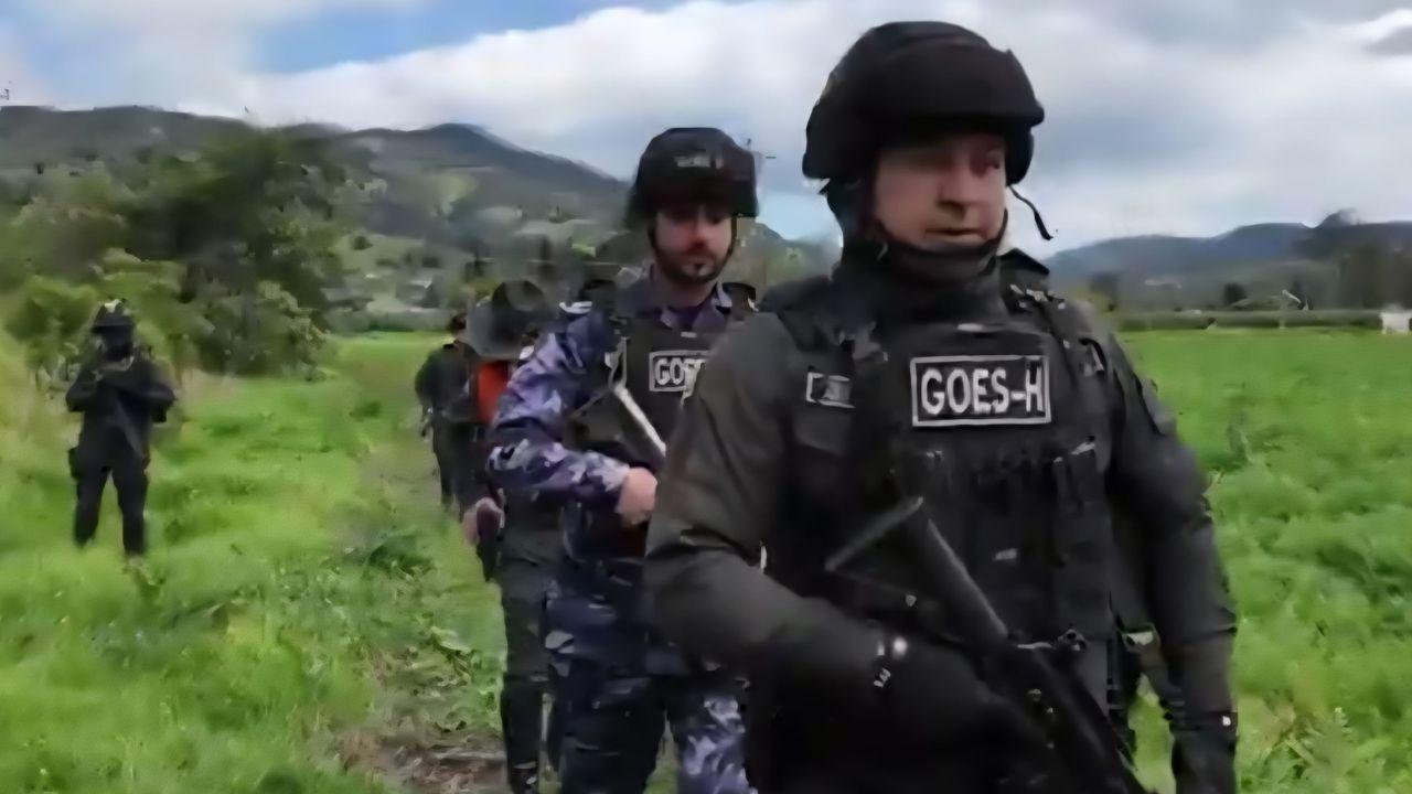 UAE Helps Stop Crimes That Harm Nature in the Amazon