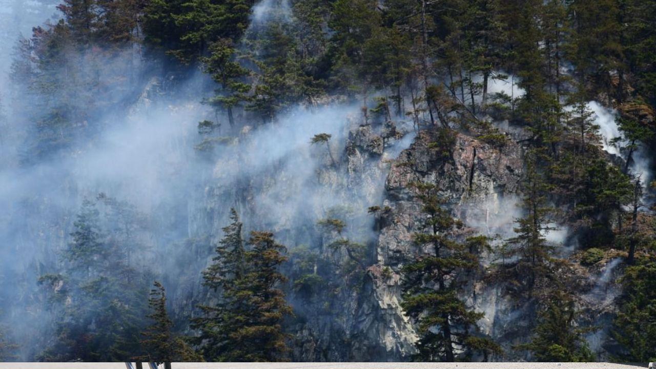 Canada's Wildfires Burn Over 13 Million Acres in 2025 So Far