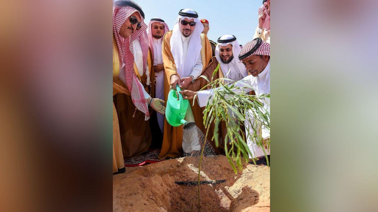 Green Qassim Land Project Gets UN Recognition for Sustainability Green Qassim Land Project Gets UN Recognition for Sustainability