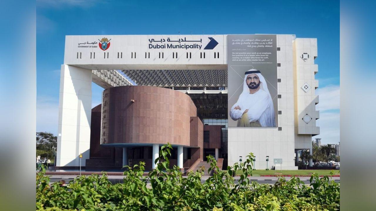 Dubai Municipality Wins Top UAE Prize for Workplace Safety