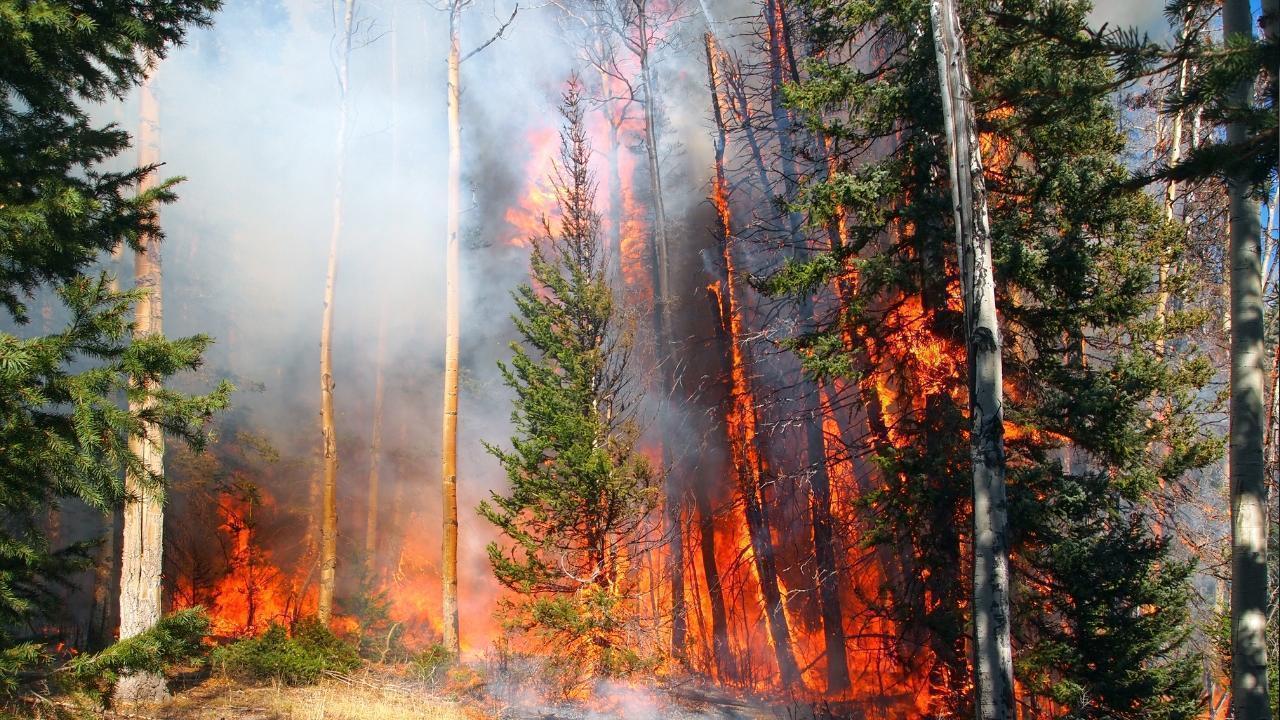 Canada Wildfire Season Among the Worst in History