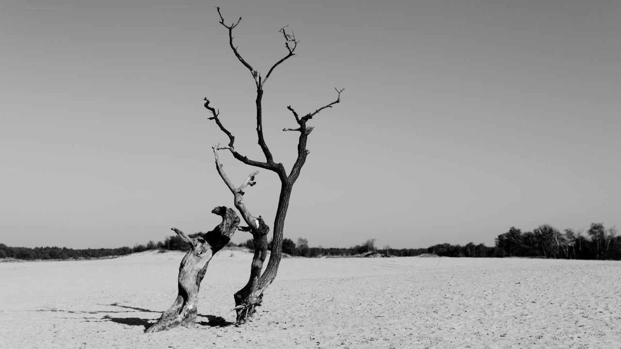 Earth Matters: Understanding Our Role in Environmental Preservation