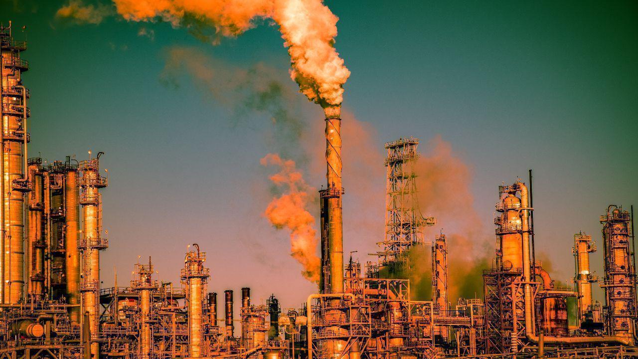 Nature at a Crossroads: Saving the Environment Before It’s Too Late