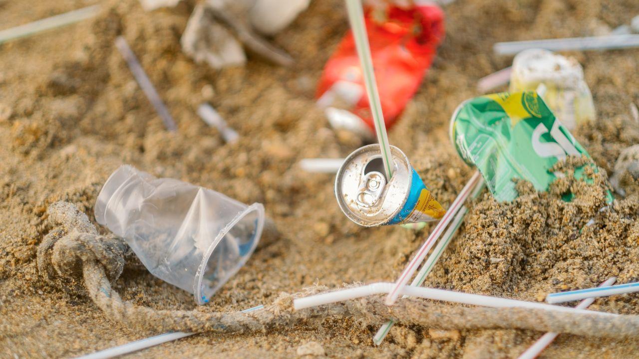 Easy Ways to Reduce Plastic Pollution and Protect the Environment