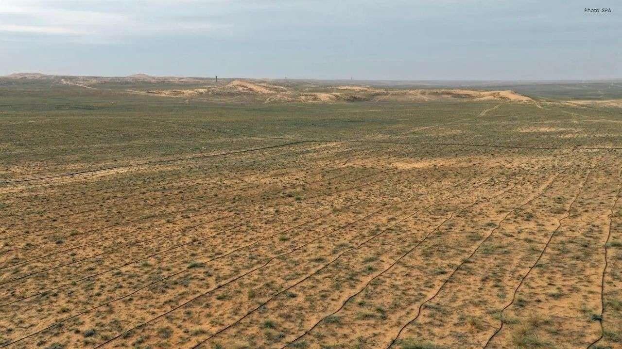 Saudi National Greening Program Boosts Tree Planting with Mobile Lab