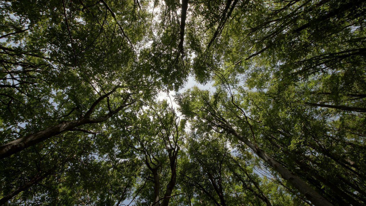 Environmental Awareness: How Communities Are Driving Sustainable Change