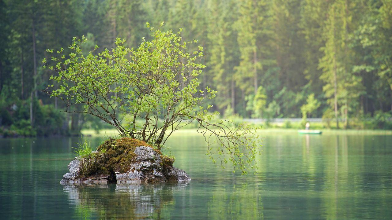 Protecting Our Planet: Innovative Solutions for a Sustainable Environment