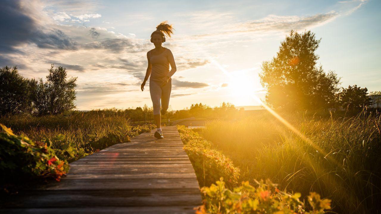 Lifestyle Harmony: Balancing Work, Health, and Relationships