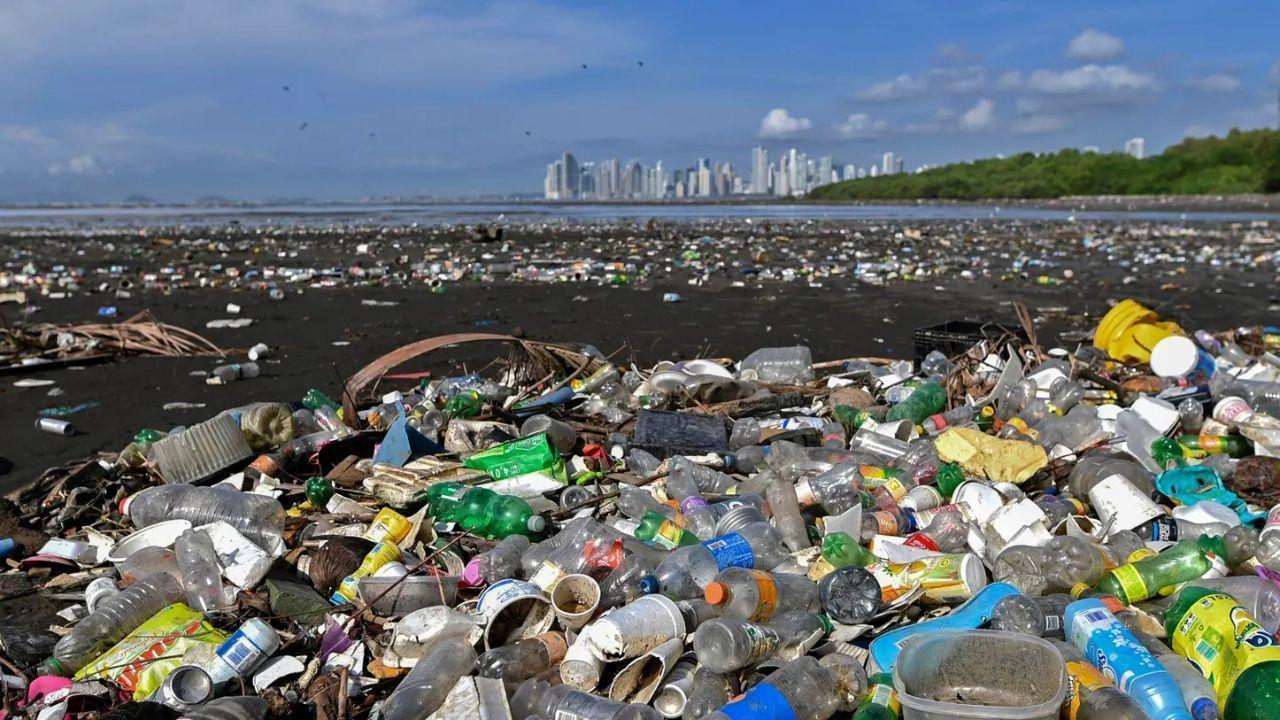 The Plastic Pollution Crisis: What It Means for All of Us