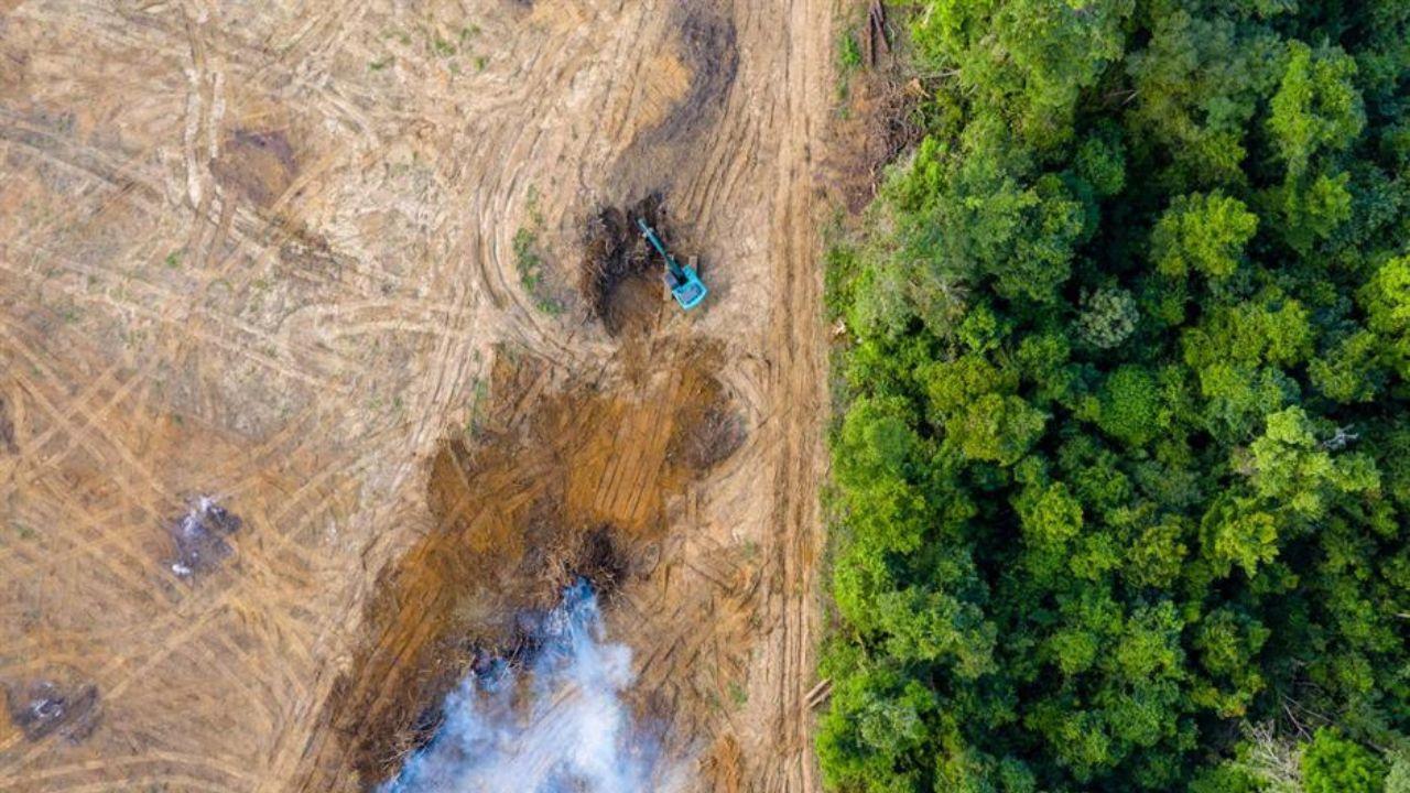 Human Impact on the Environment: A Crisis We Cannot Ignore