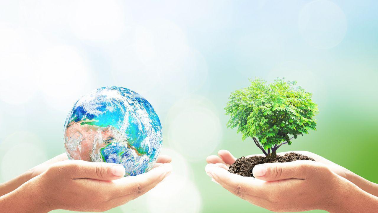 Protecting Our Planet: Strategies for a Sustainable Environment