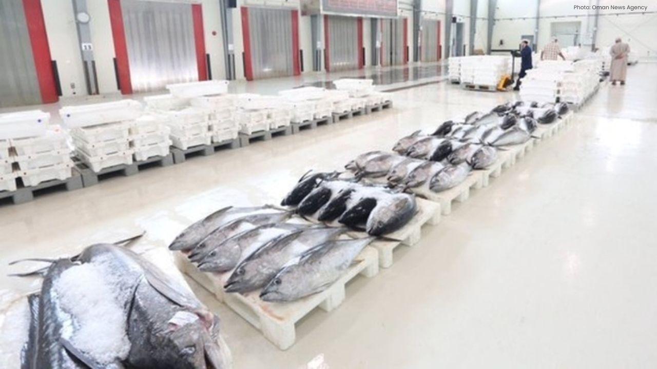Oman Fisheries Sector Grows By 8.6 Percent In First Half 2025
