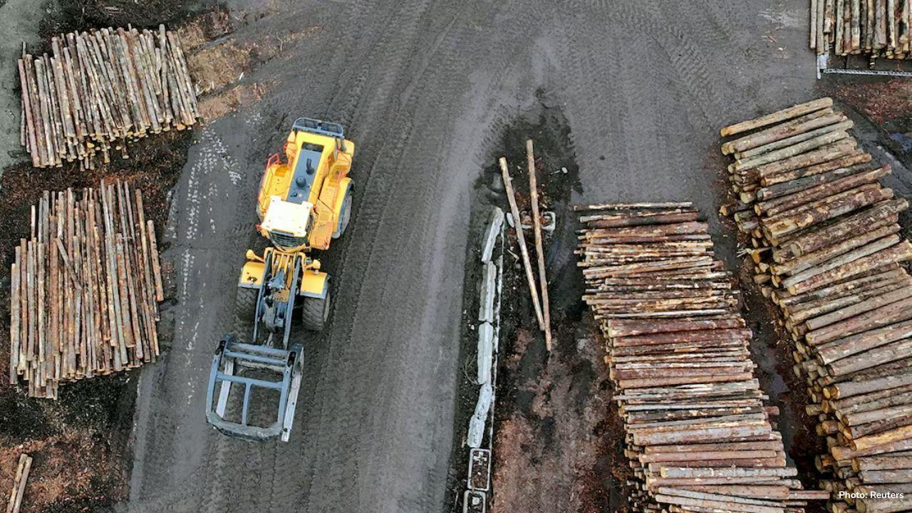 Trump Imposes New Tariffs on Timber, Cabinets, and Furniture