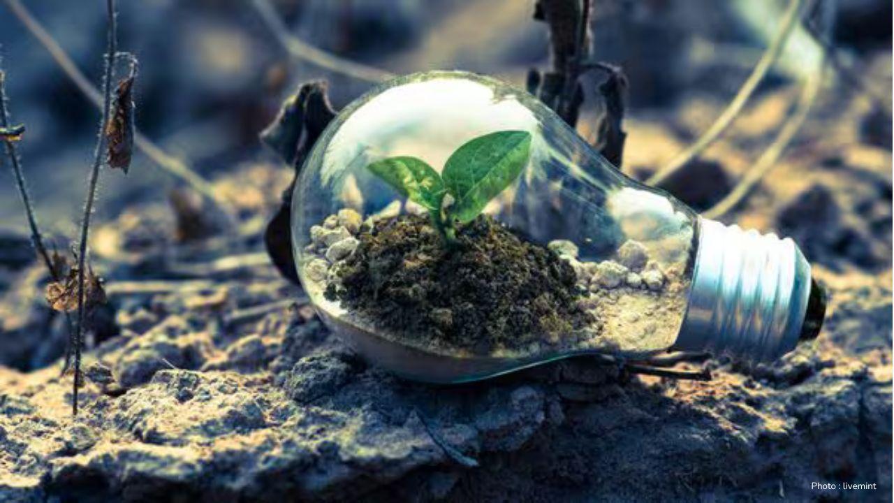 Protecting Our Environment in 2025: Simple Ways to Save the Planet
