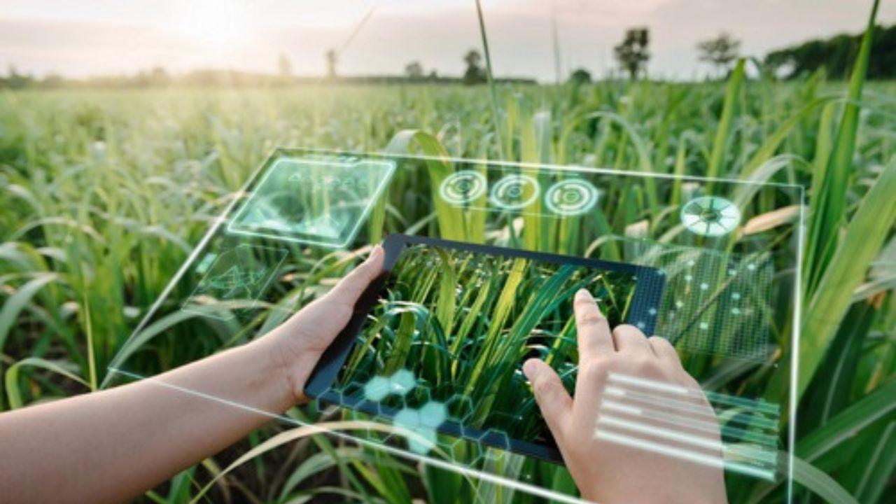 How AI in India 2025 Is Transforming Education, Healthcare, and Agriculture