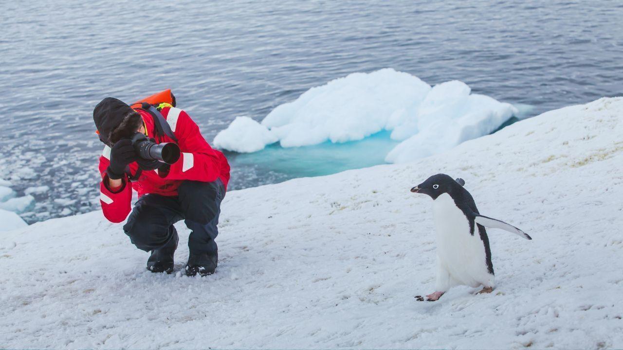 Visiting Antarctica: Essential Cruise Insights & Expectations