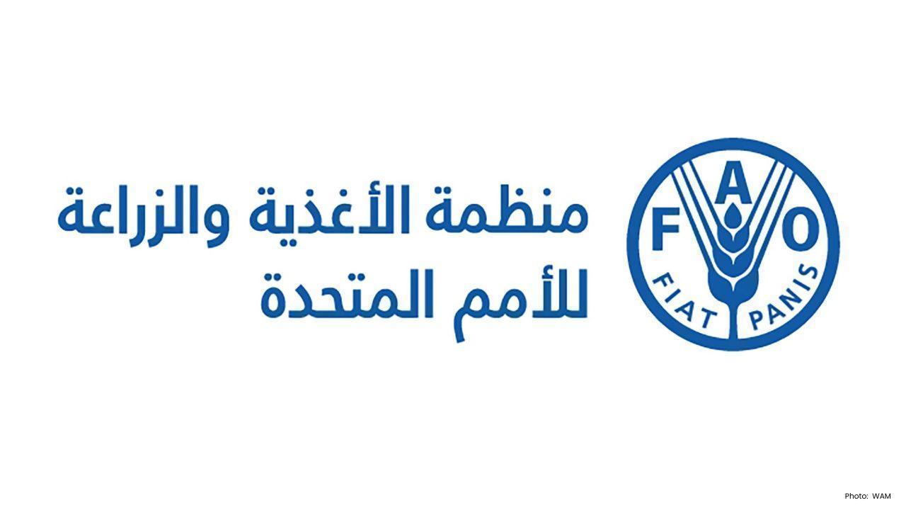 FAO Marks 80 Years at Abu Dhabi Global Food Week 2025