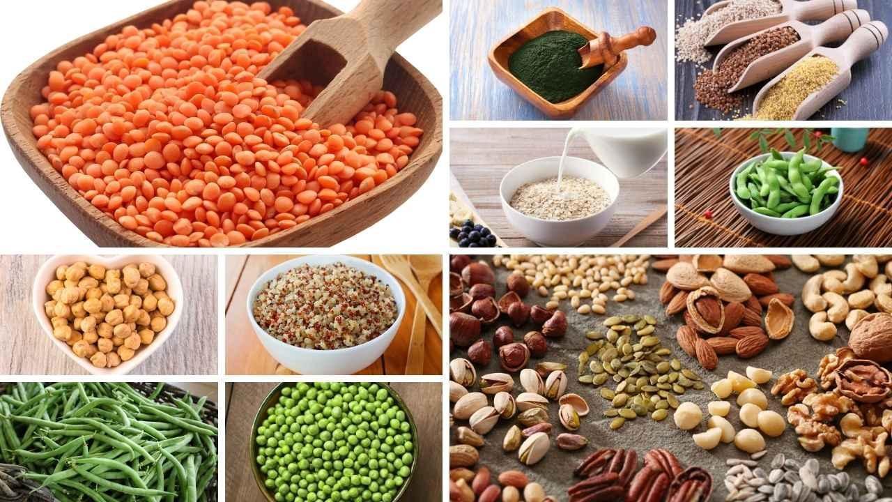 Plant-Based Protein Options Beyond Paneer and Tofu Plant-Based Protein Options Beyond Paneer and Tofu