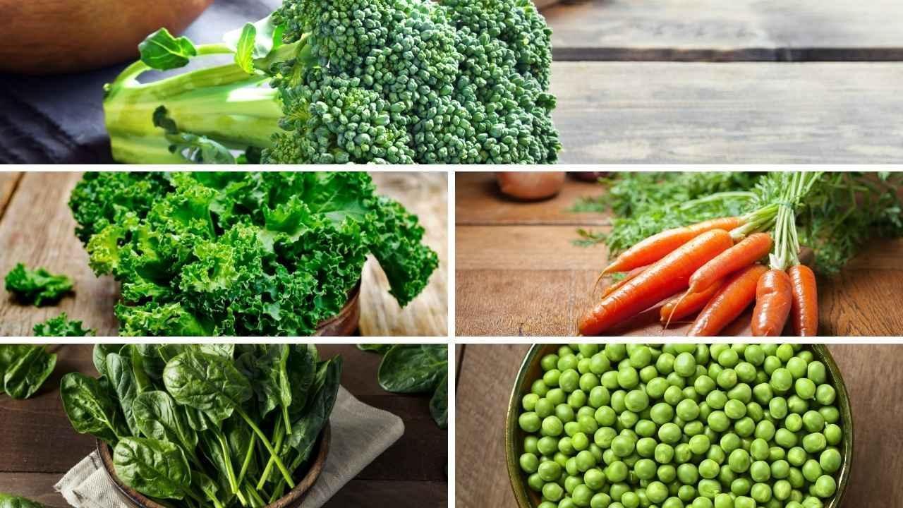 Power Greens: Best Vegetables for Everyday Health