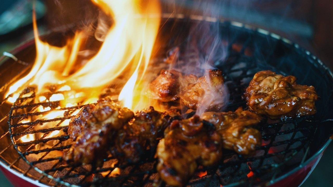 Revolutionizing Indian BBQ: Sustainability Through Clean Fuel and Organic Ingredients