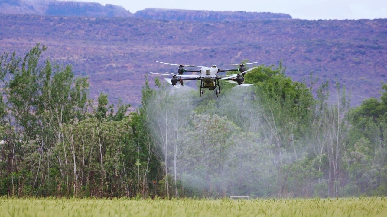 Transforming Agriculture in India: The Impact of Drones, Sensors, and Micro-Farming