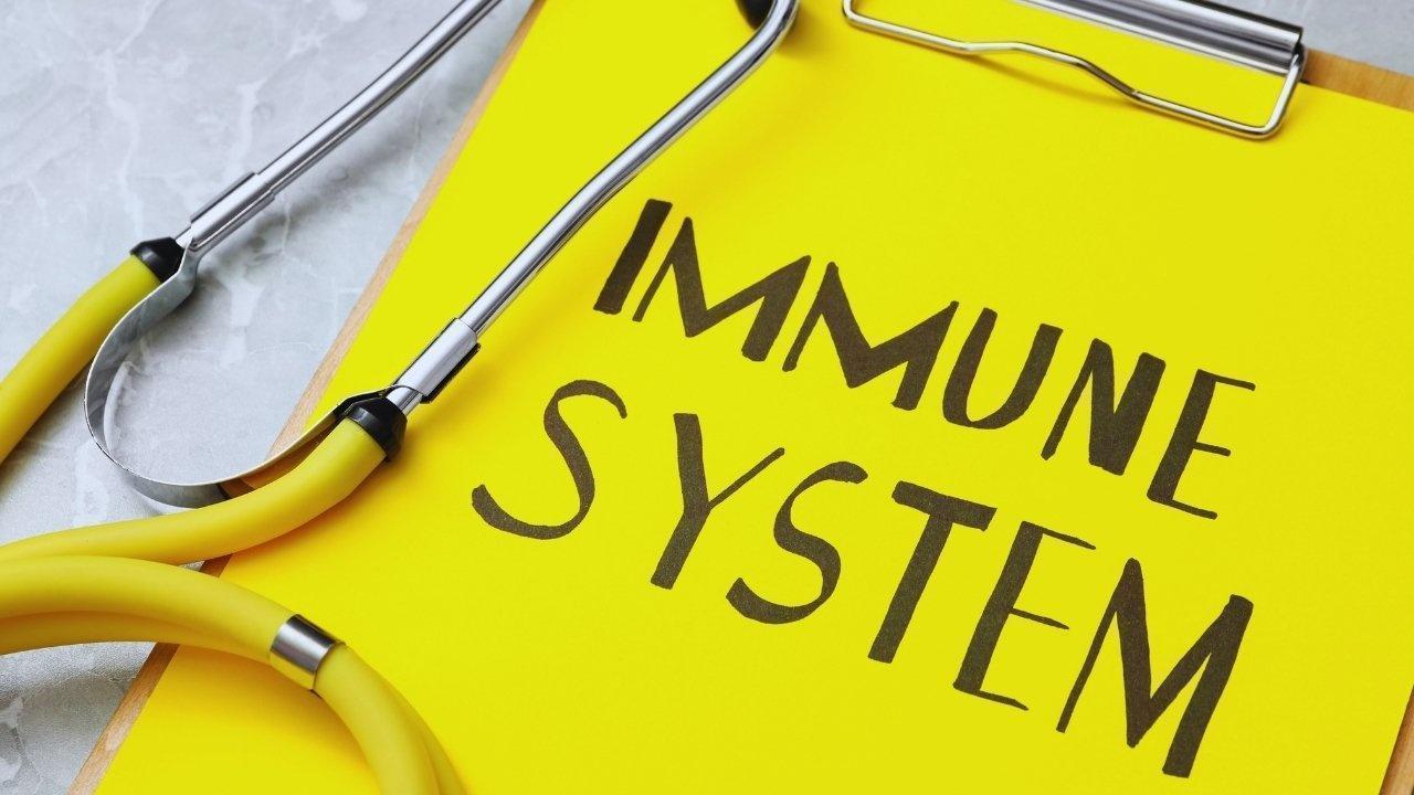 Post-Pandemic Insights: How Immunity Became a Core Lifestyle Element