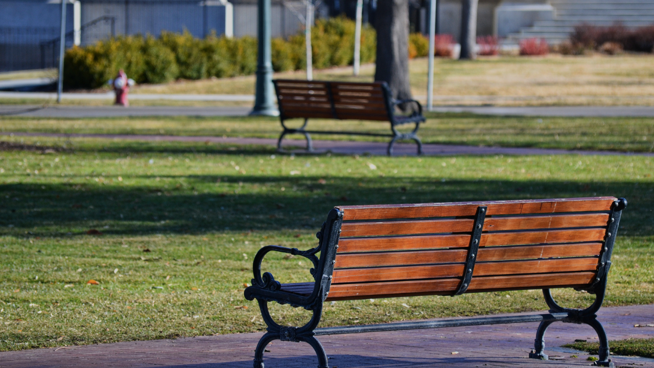 Discover Museums, Parks, and Attractions Without Spending a Dime