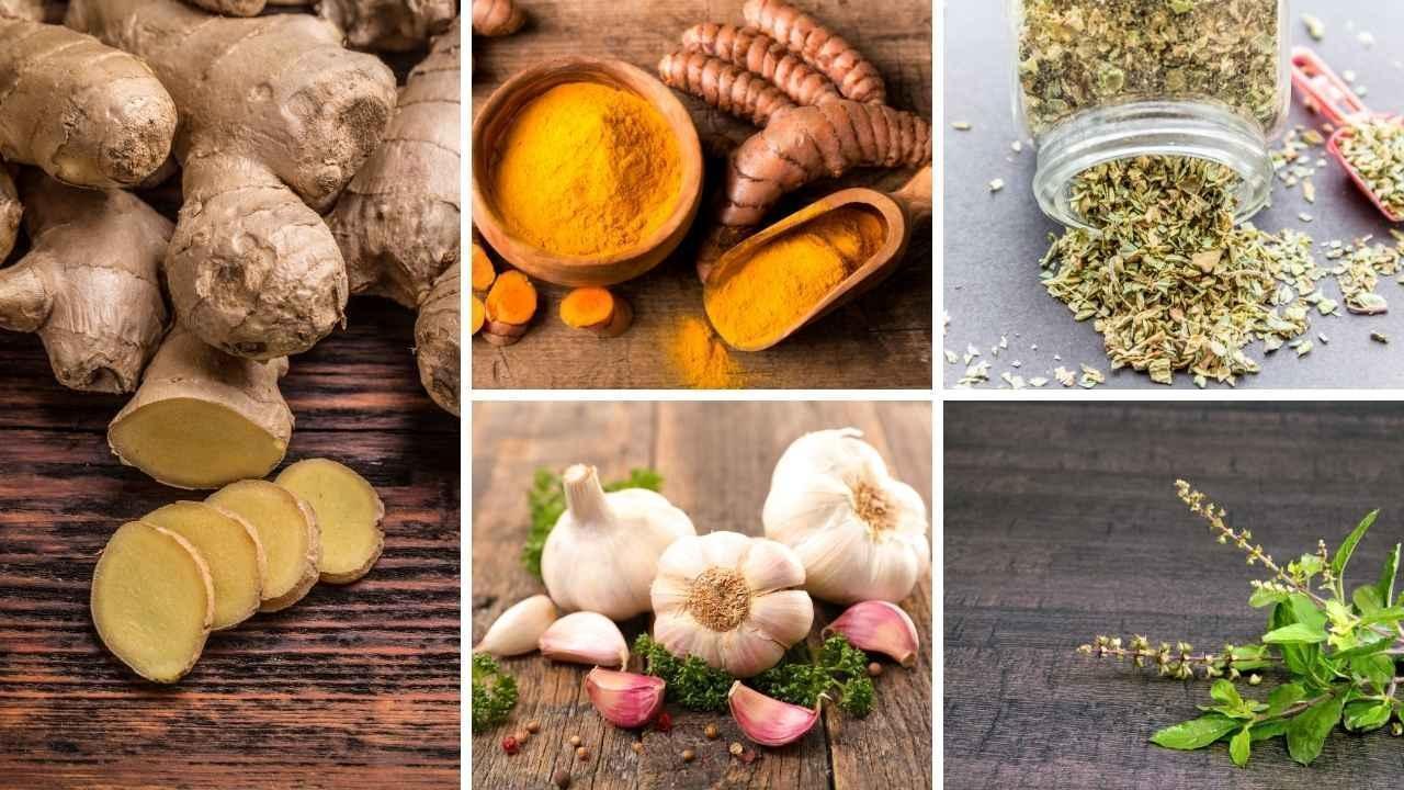 Everyday Kitchen Herbs That Could Slow Cancer Cell Growth