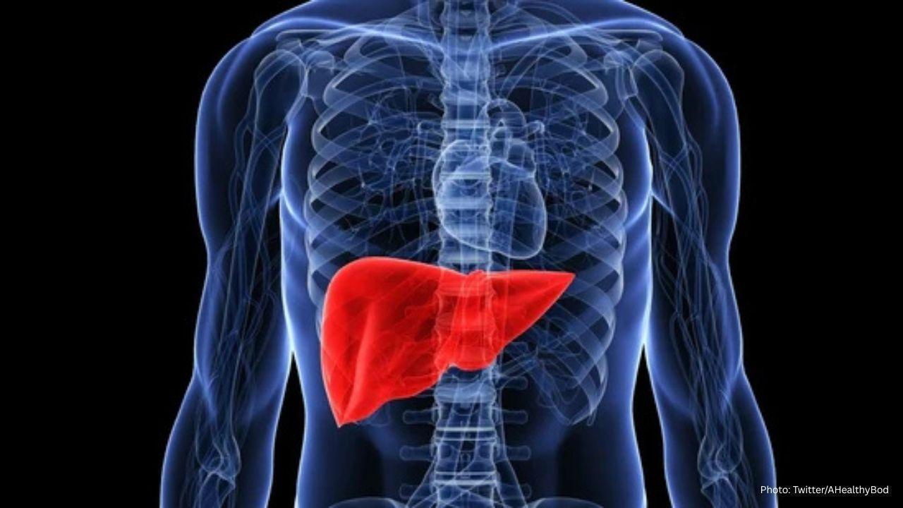 Expert Cautions Against Daily Habits That Can Hurt Your Liver