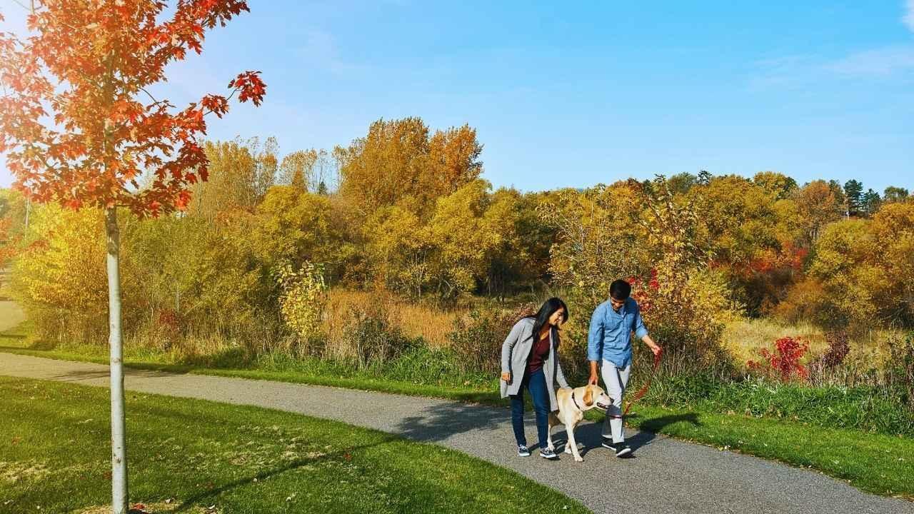 Daily Walks: A Vital Component of Mental Health in 2025