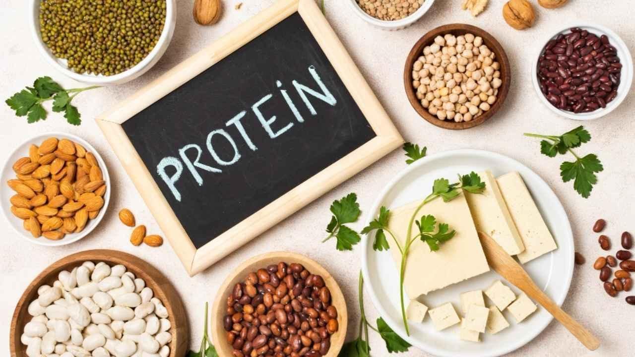 Top Plant-Based Protein Sources: Foods to Fuel Your Body