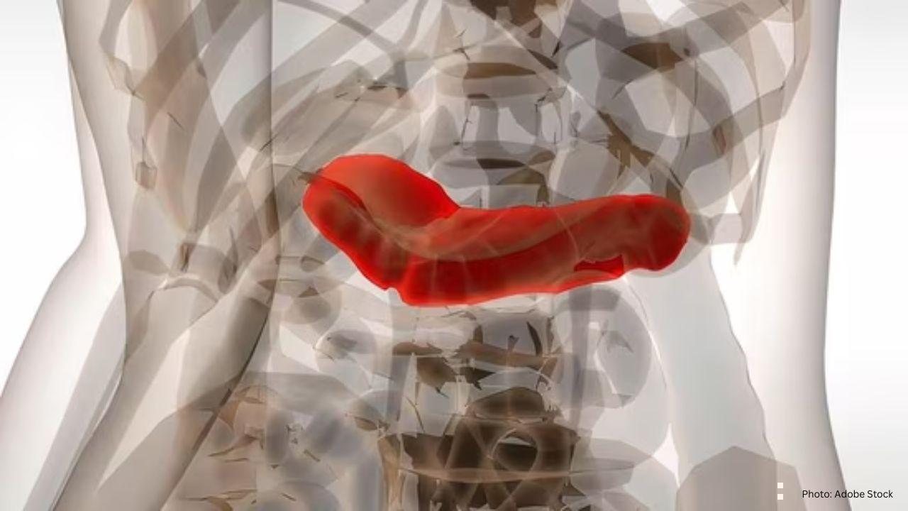 Recognizing 5 Critical Signs of Pancreatic Concerns on World Pancreatic Cancer Day