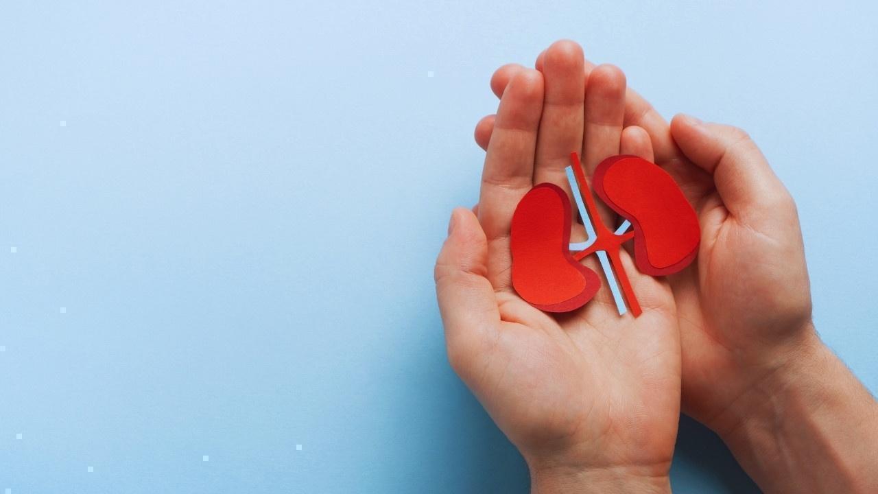 Breakthrough Discovery Gives Hope to Patients with Polycystic Kidney Disease