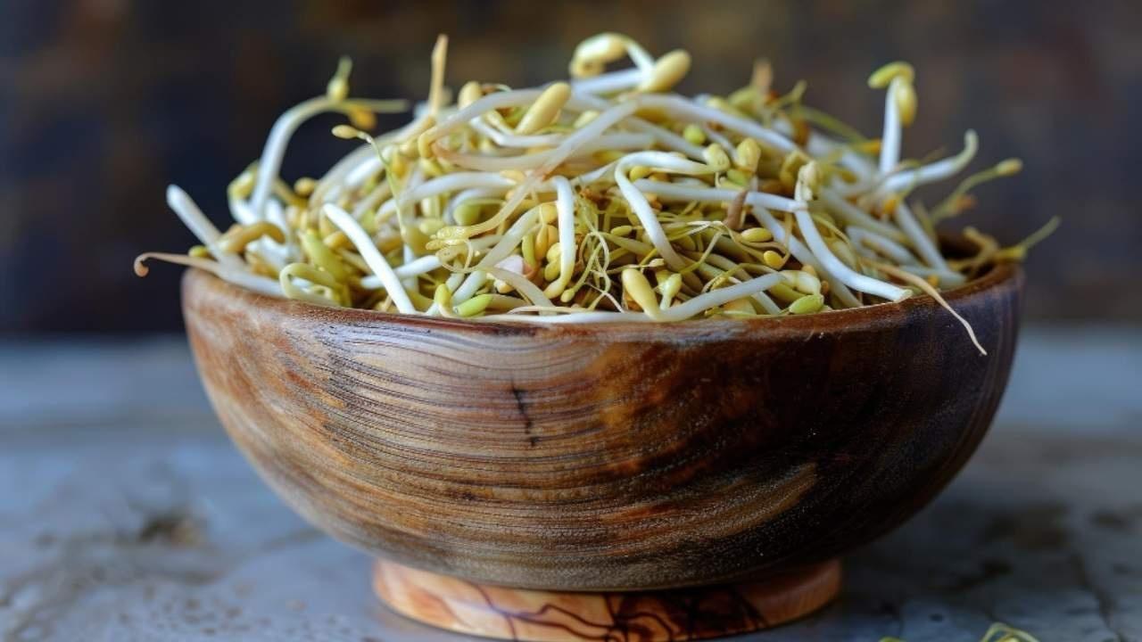 Maximizing Protein Absorption: The Best Ways to Enjoy Sprouts