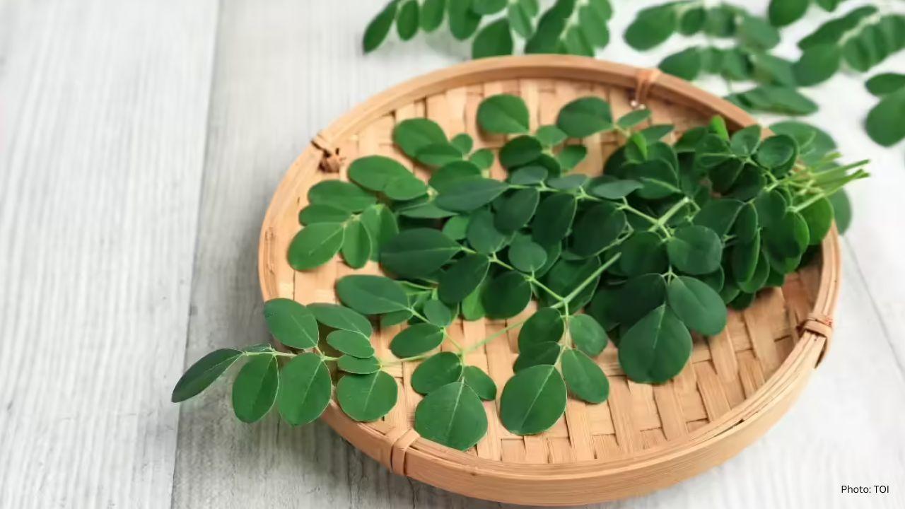 Harnessing Moringa for Brain Health This Winter