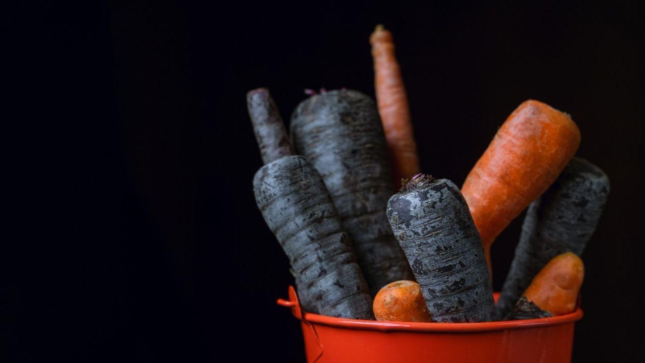 The Importance of Black Carrots in Winter and Their Differences from Red Varieties