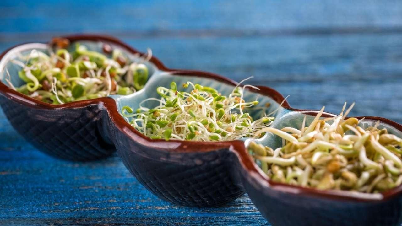 The Weight Loss Power of Sprouts: Nutritional Benefits Uncovered