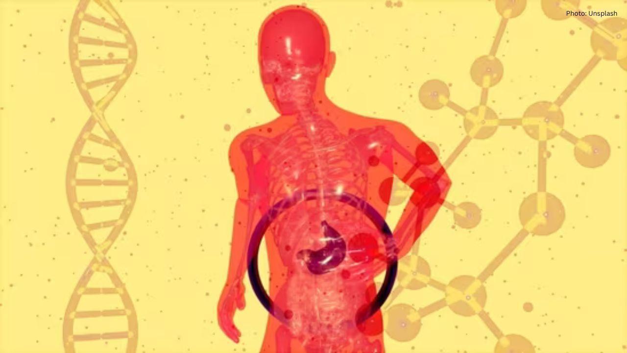 Rapid Rise of MASLD: The Silent Liver Disease in the U.S.