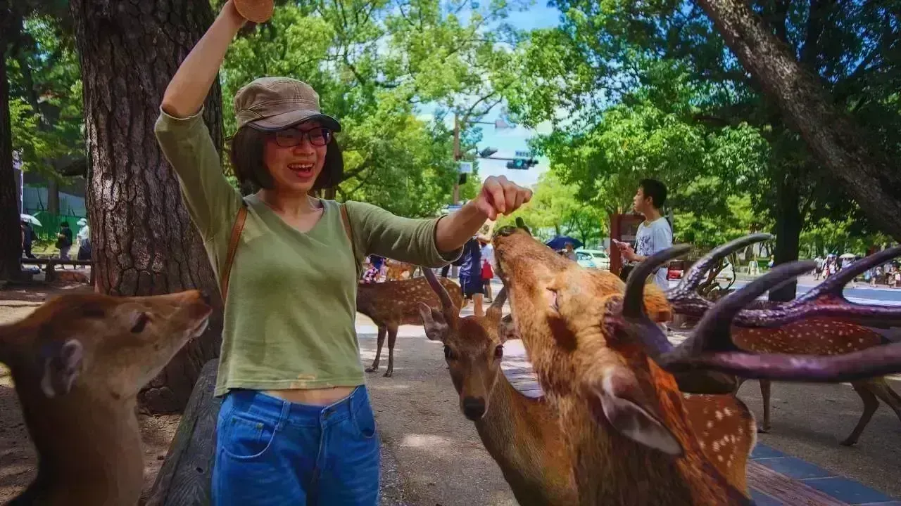 The Surge in Wildlife Park Visitors: Exploring New Trends
