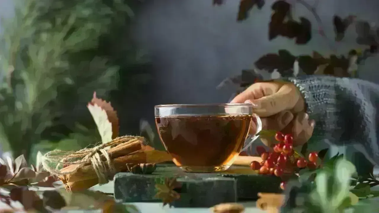Winter Wellness: Embrace Ayurvedic Kadha for Health and Warmth