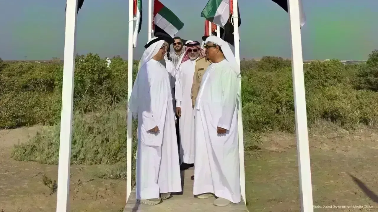 Dubai Unveils Ambitious Mangrove Planting Campaign in Sanctuaries