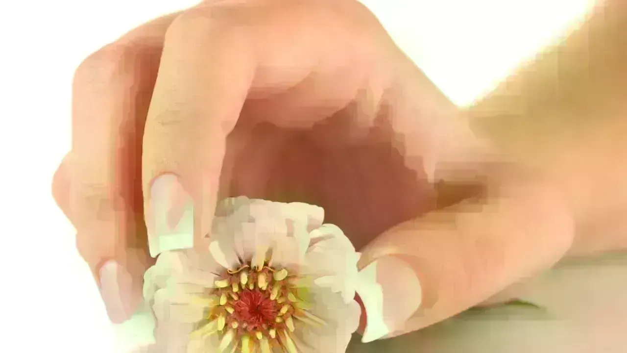 Nail Care Essentials: How to Maintain Strength and Beauty